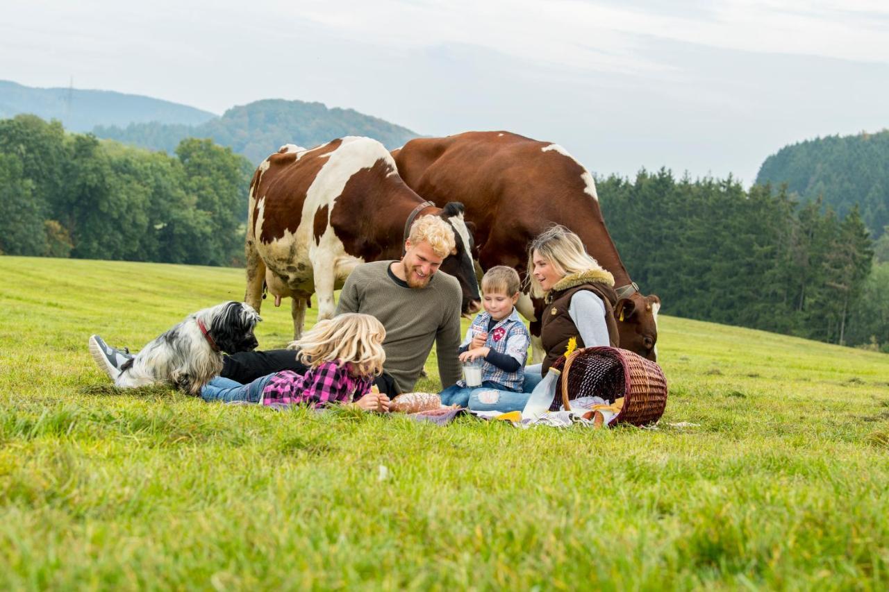 Westfalenhof Garni Willingen  Luaran gambar