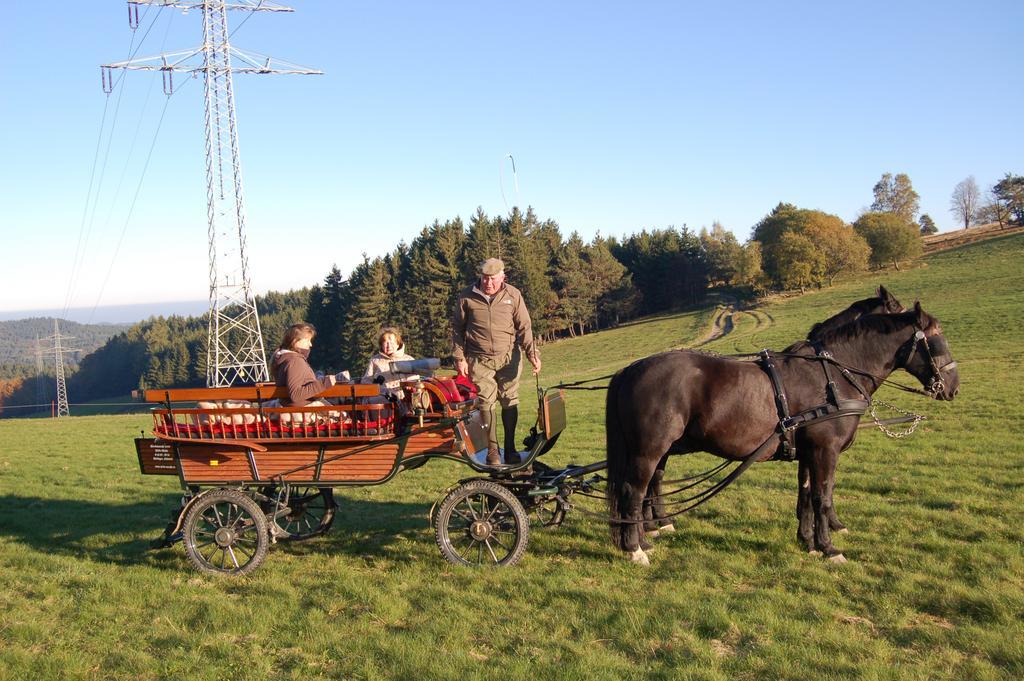 Westfalenhof Garni Willingen  Luaran gambar