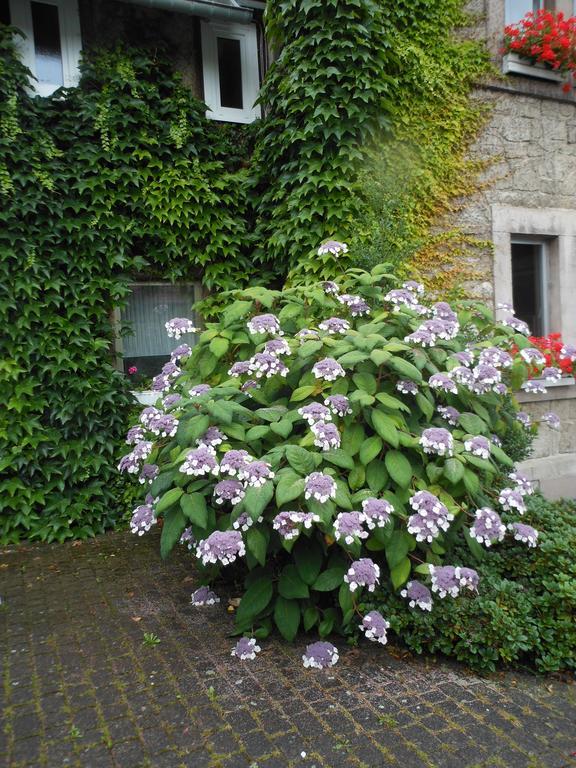 Westfalenhof Garni Willingen  Luaran gambar
